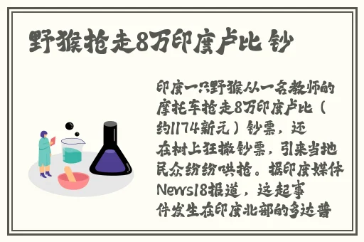 囯精产品一品二品国精91